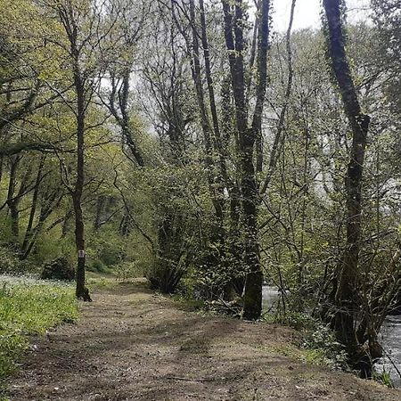 Belle-Isle-en-Terre Retraite Rustique En Bordure De Foret A La Campagne酒店 外观 照片