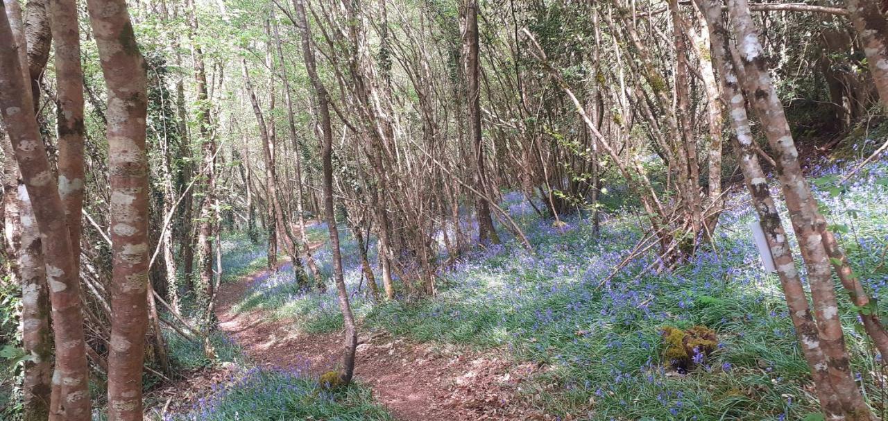 Belle-Isle-en-Terre Retraite Rustique En Bordure De Foret A La Campagne酒店 外观 照片